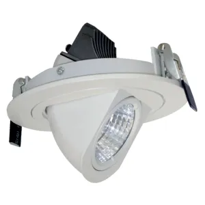 2208- 6w Cob Zoom