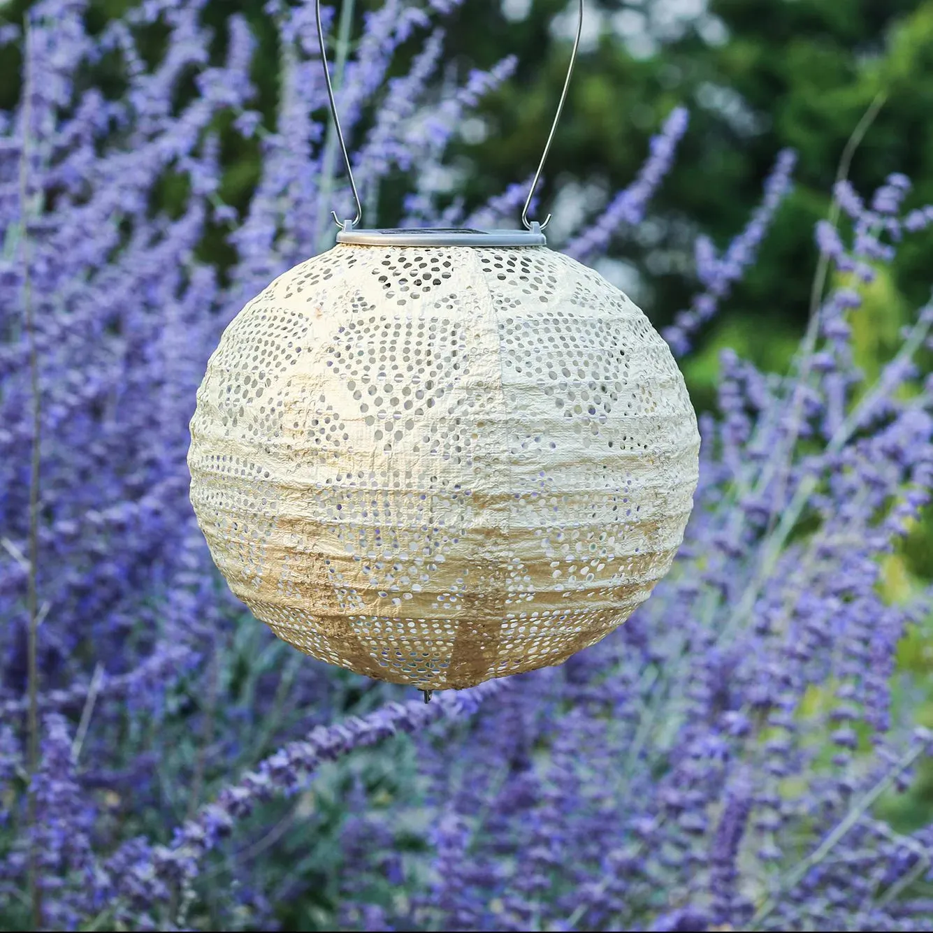 8" Soji Stella Punch Lantern