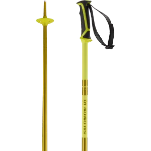 ARCTIC SKI POLES