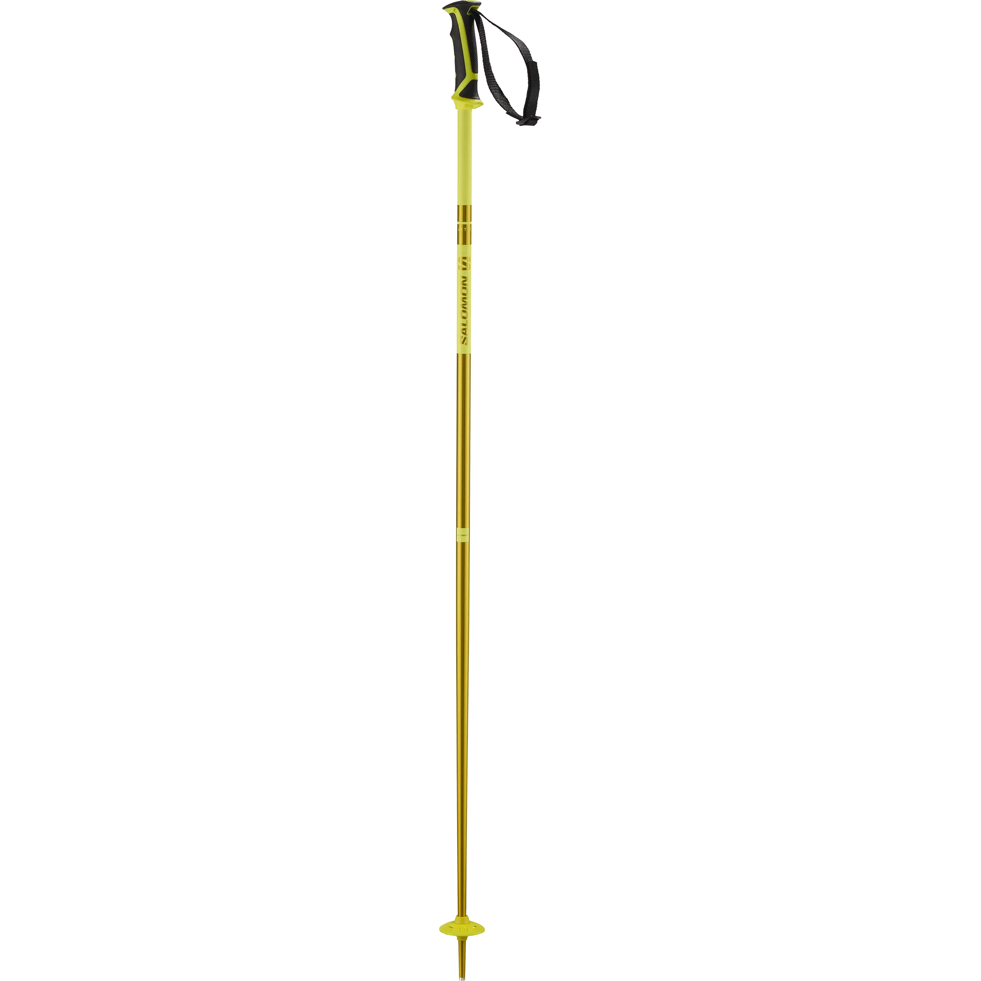 ARCTIC SKI POLES