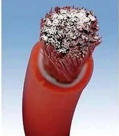 DC POWER CABLE 50MM - RED