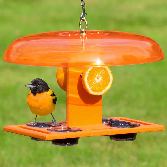 Duncraft Deluxe Orange Oriole Jelly Feeder