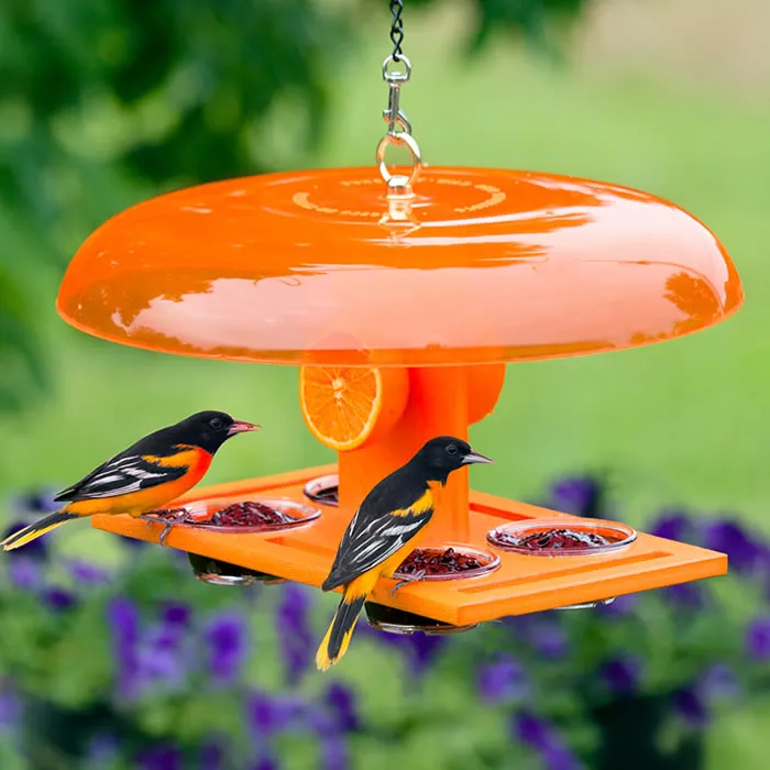 Duncraft Deluxe Orange Oriole Jelly Feeder