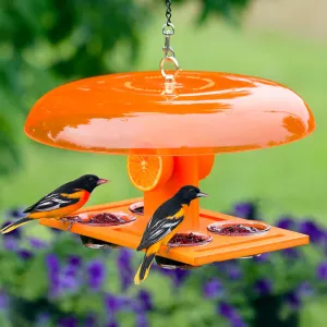 Duncraft Deluxe Orange Oriole Jelly Feeder