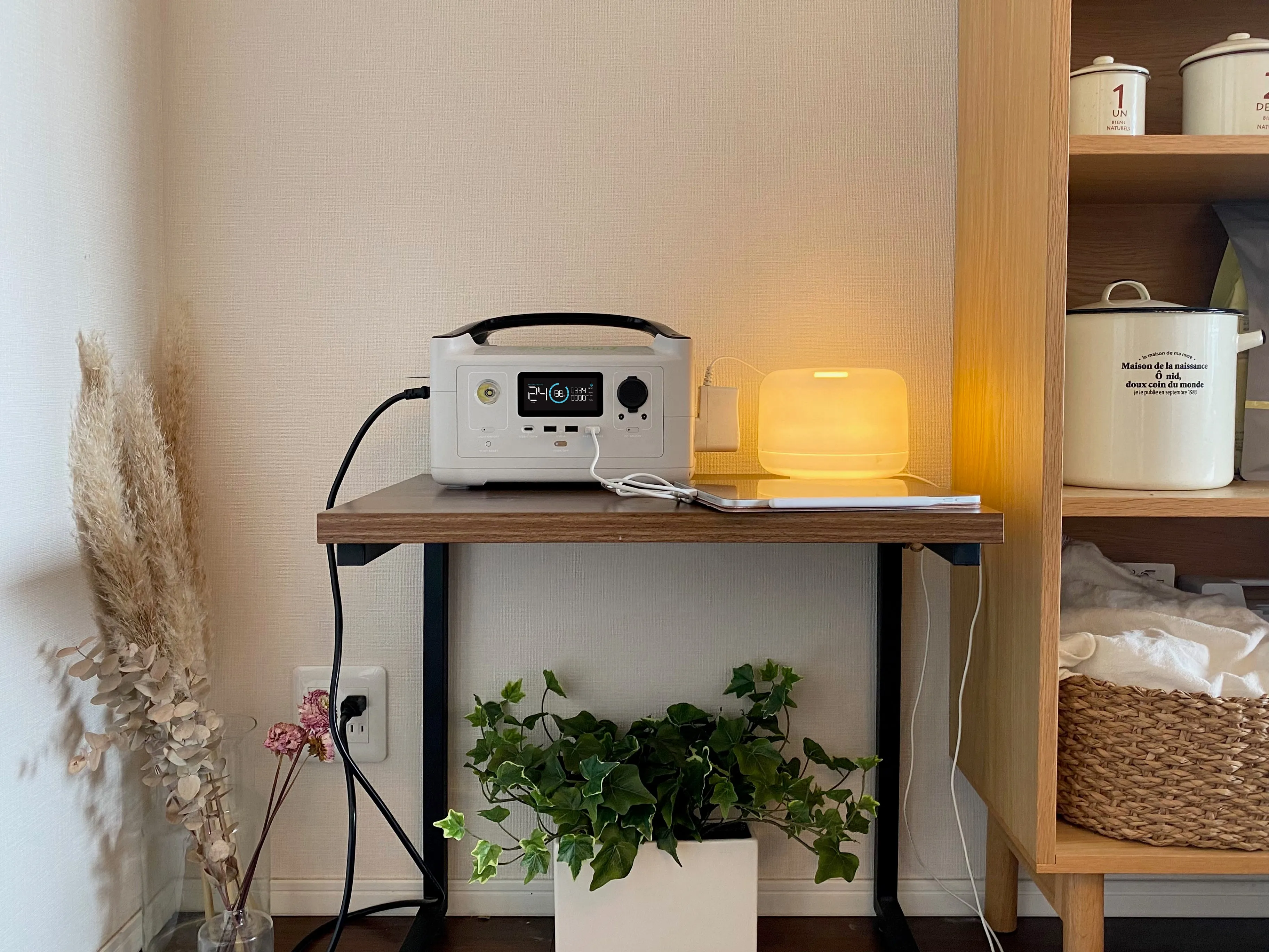 EcoFlow River Plus Portable Power Station