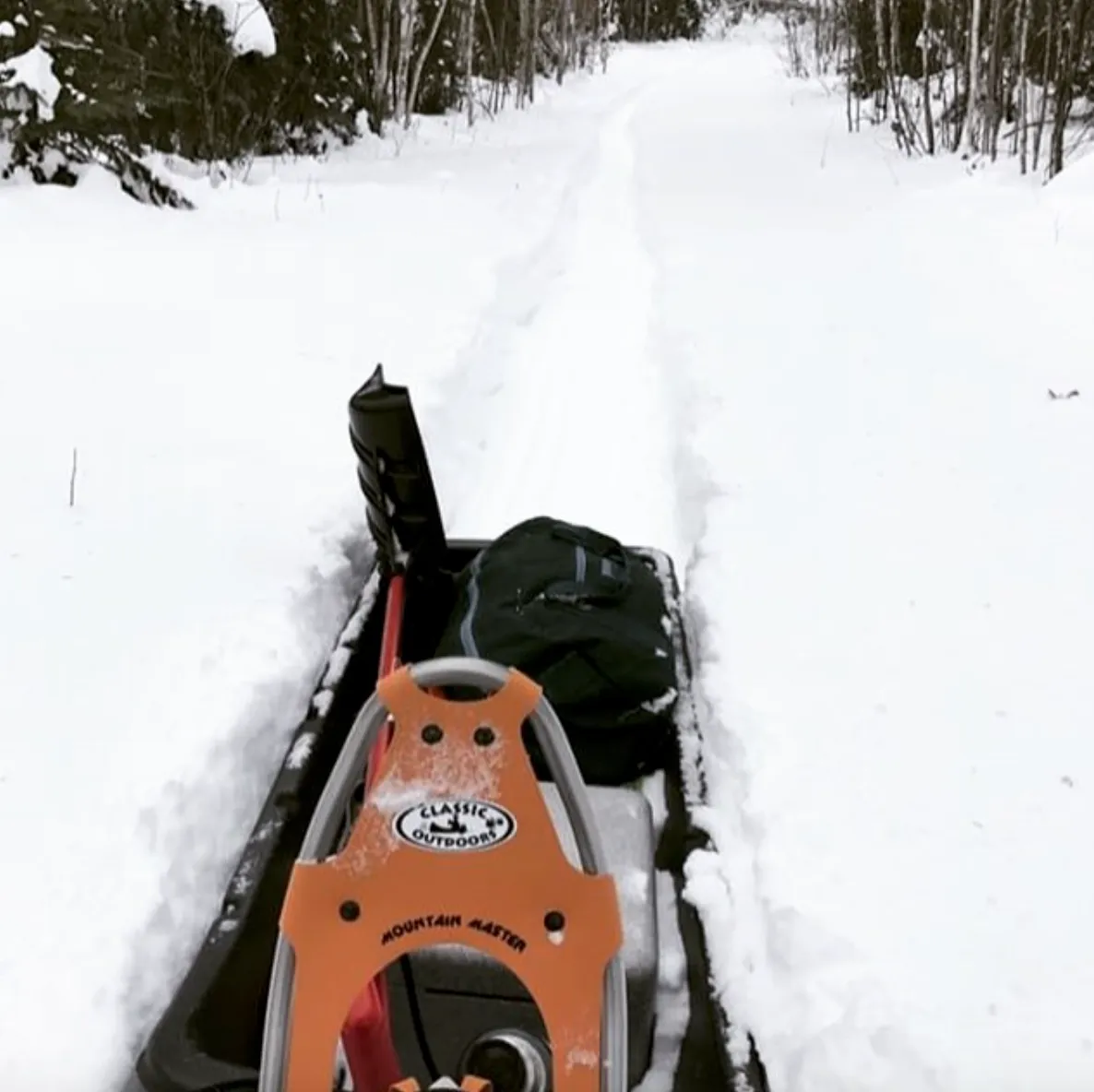 Faber Mountain Master Snowshoe