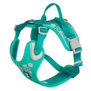 Hurtta Dog Harness: Weekend Warrior, Peacock