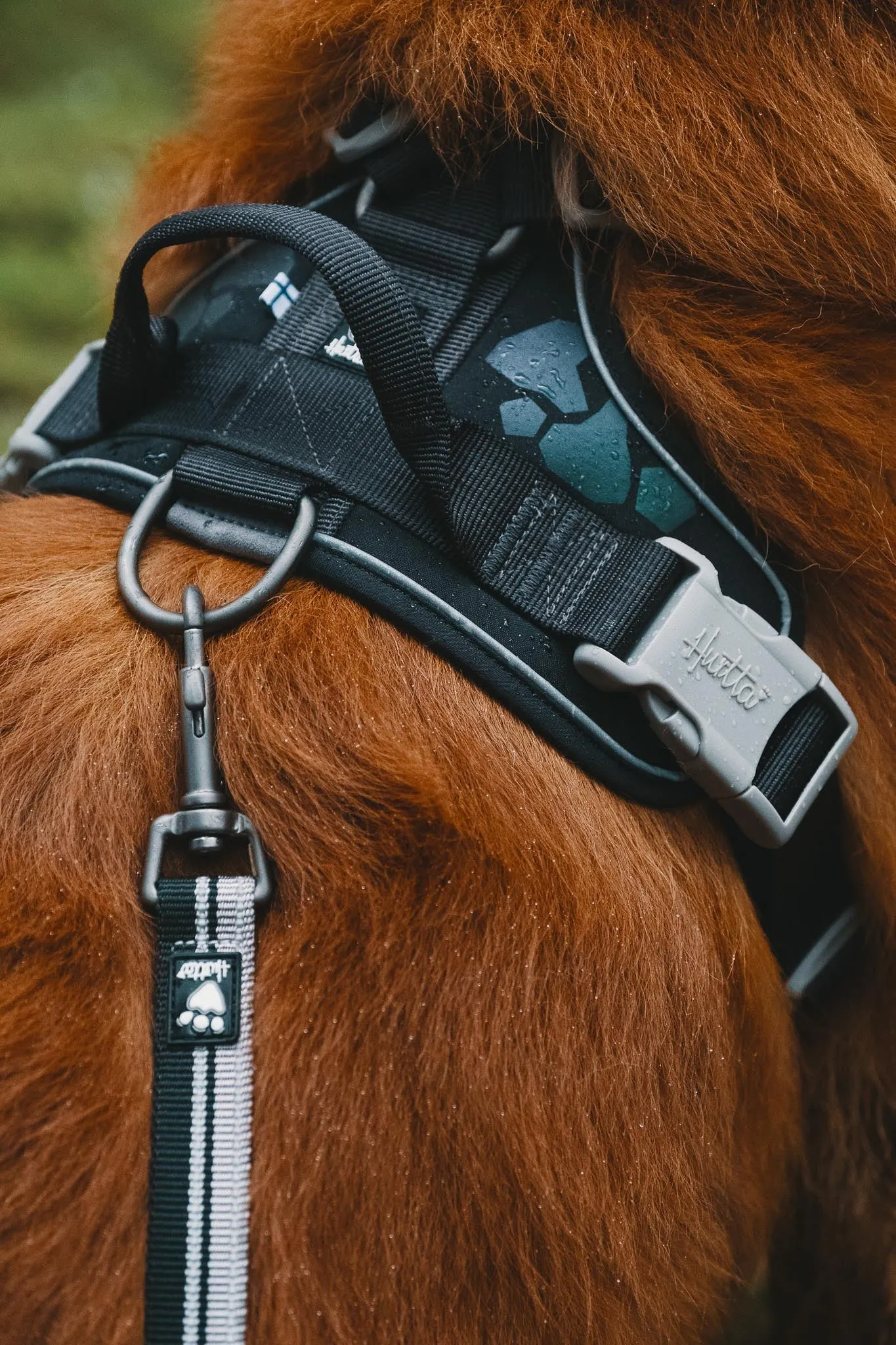 Hurtta Dog Harness: Weekend Warrior, Peacock