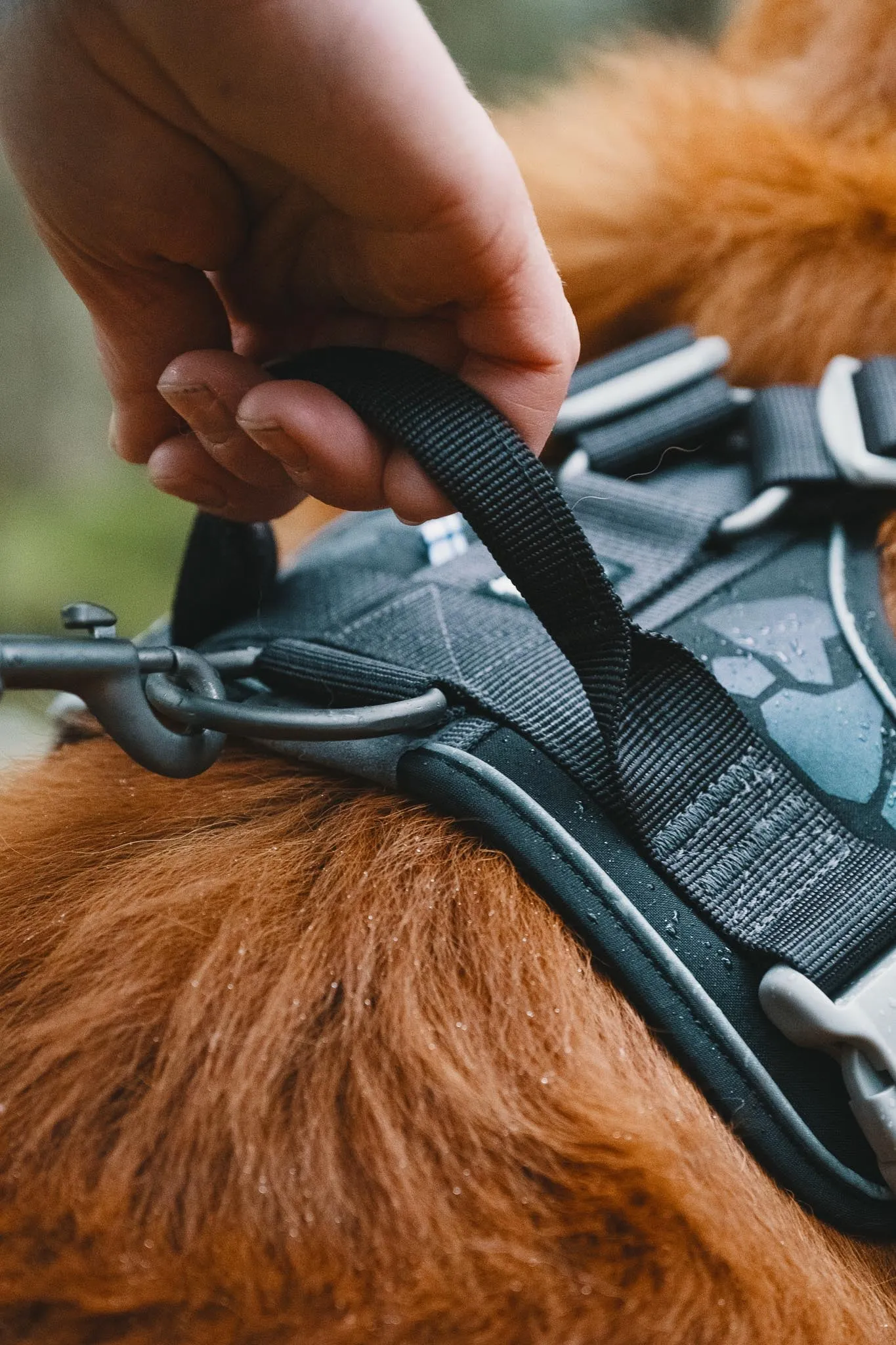 Hurtta Dog Harness: Weekend Warrior, Peacock