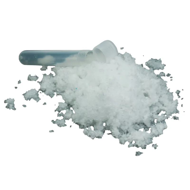 Instant Snow Kids' Activity