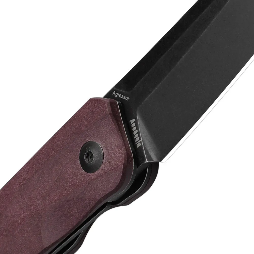 Kizer V3629A1 Agressor 3V