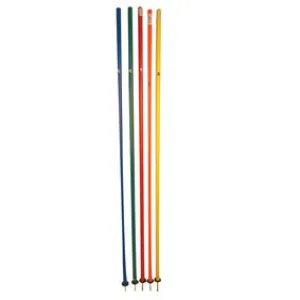 Patrick agility poles