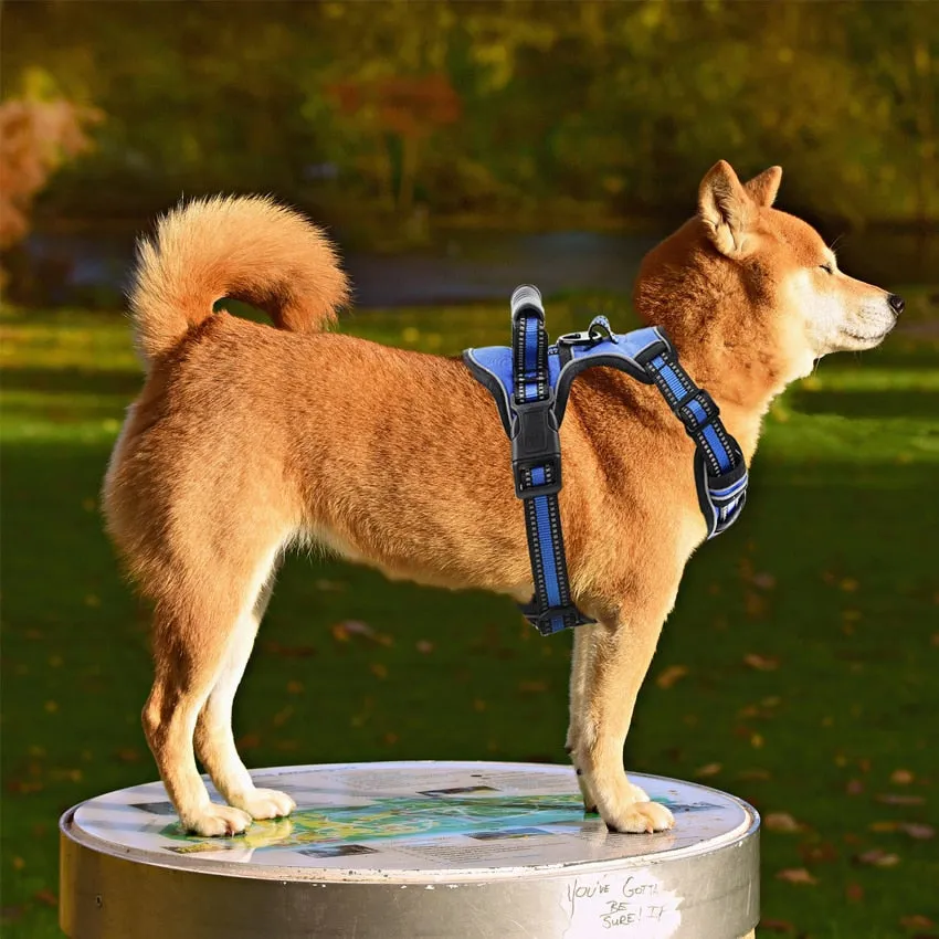 Reflective No Pull Breathable Pet Dog Puppy Outdoor Vest Walking Training Harness Vest
