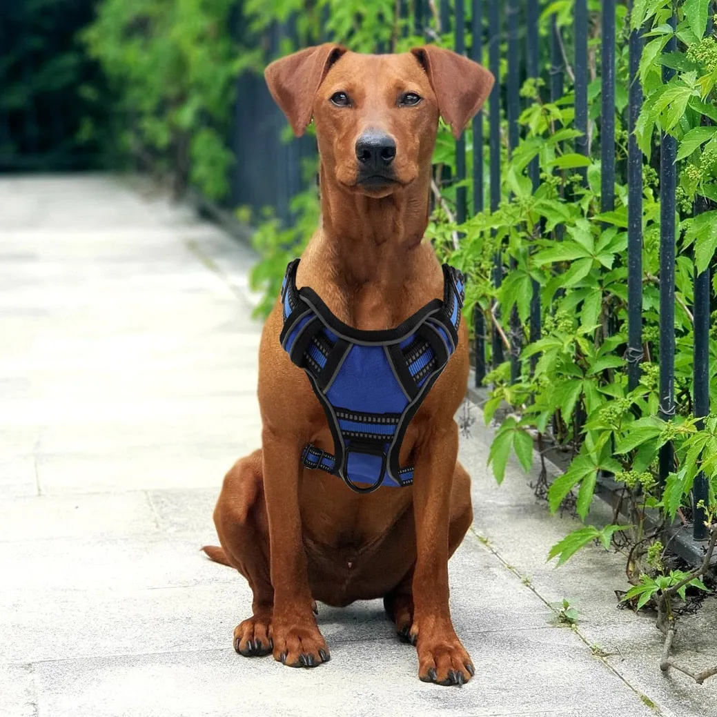 Reflective No Pull Breathable Pet Dog Puppy Outdoor Vest Walking Training Harness Vest