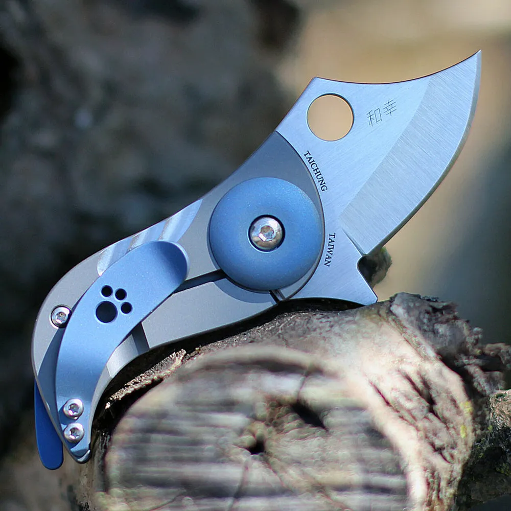 Spyderco C256TIP Pochi