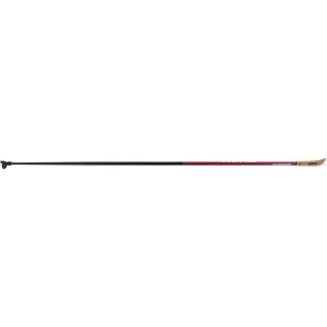 Swix Triac 4.0 Aero Poles
